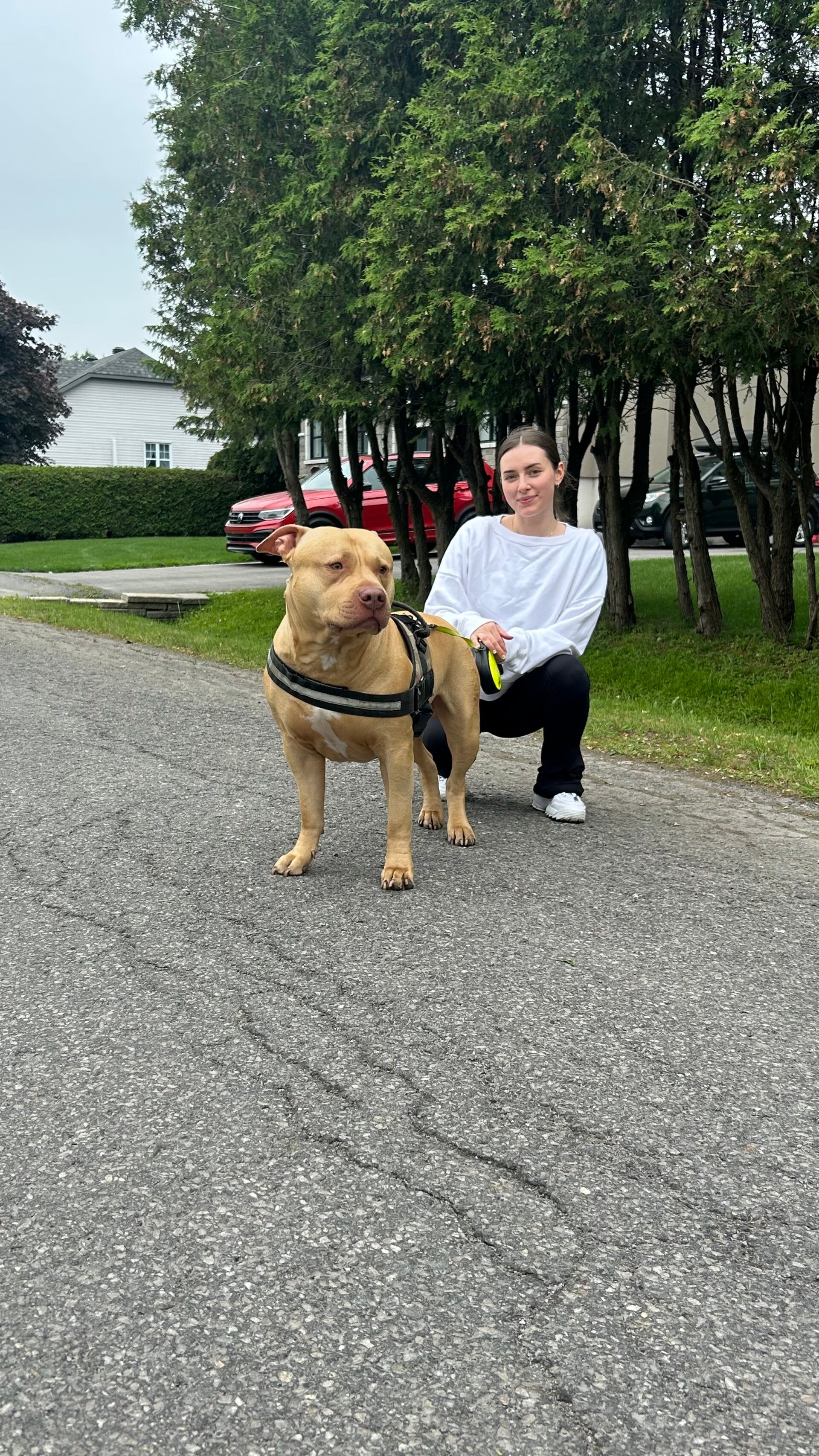 Anne-Marie promenant des chiens